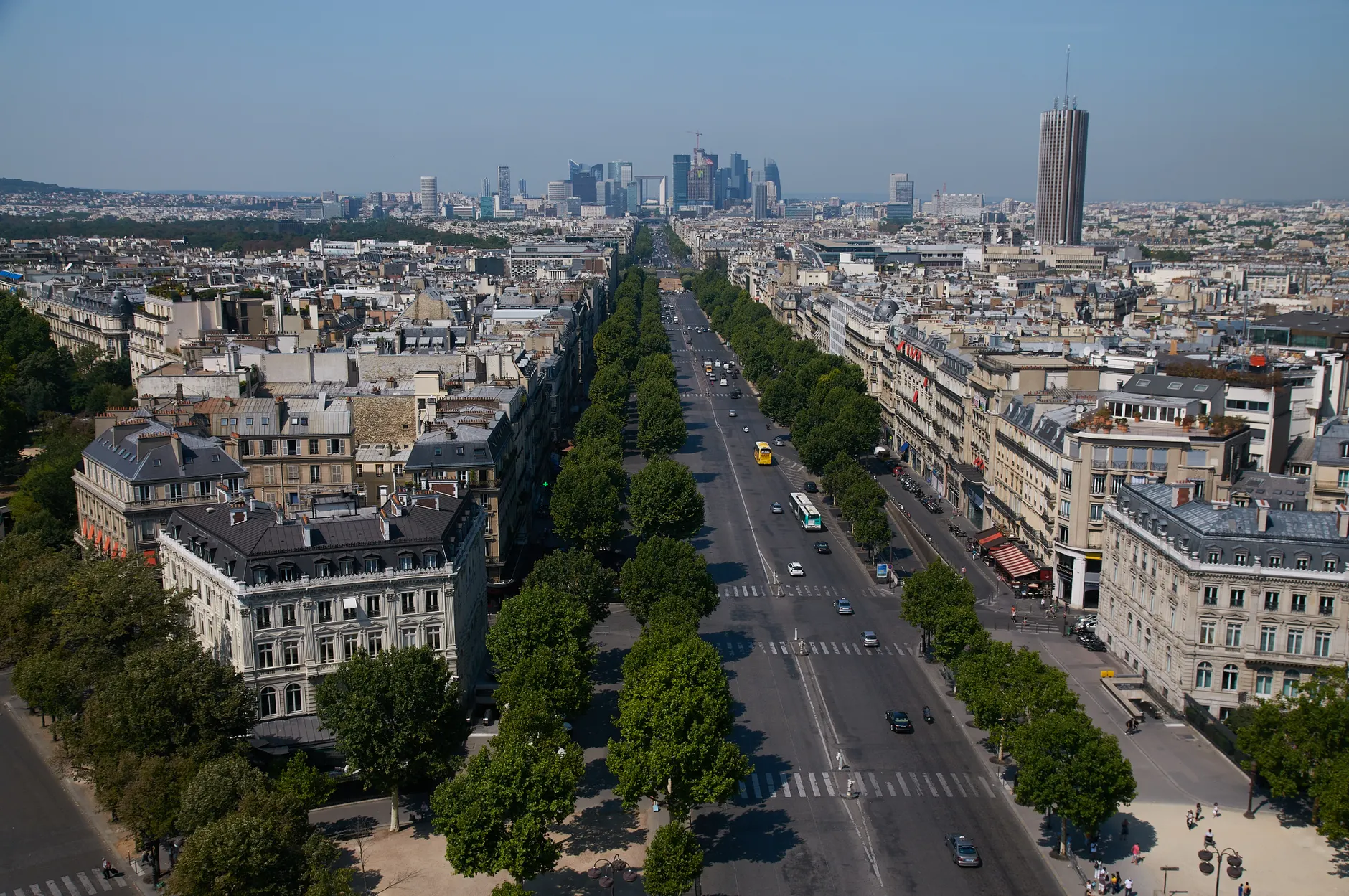 Avenue (Проспект) — широкая улица с деревьями