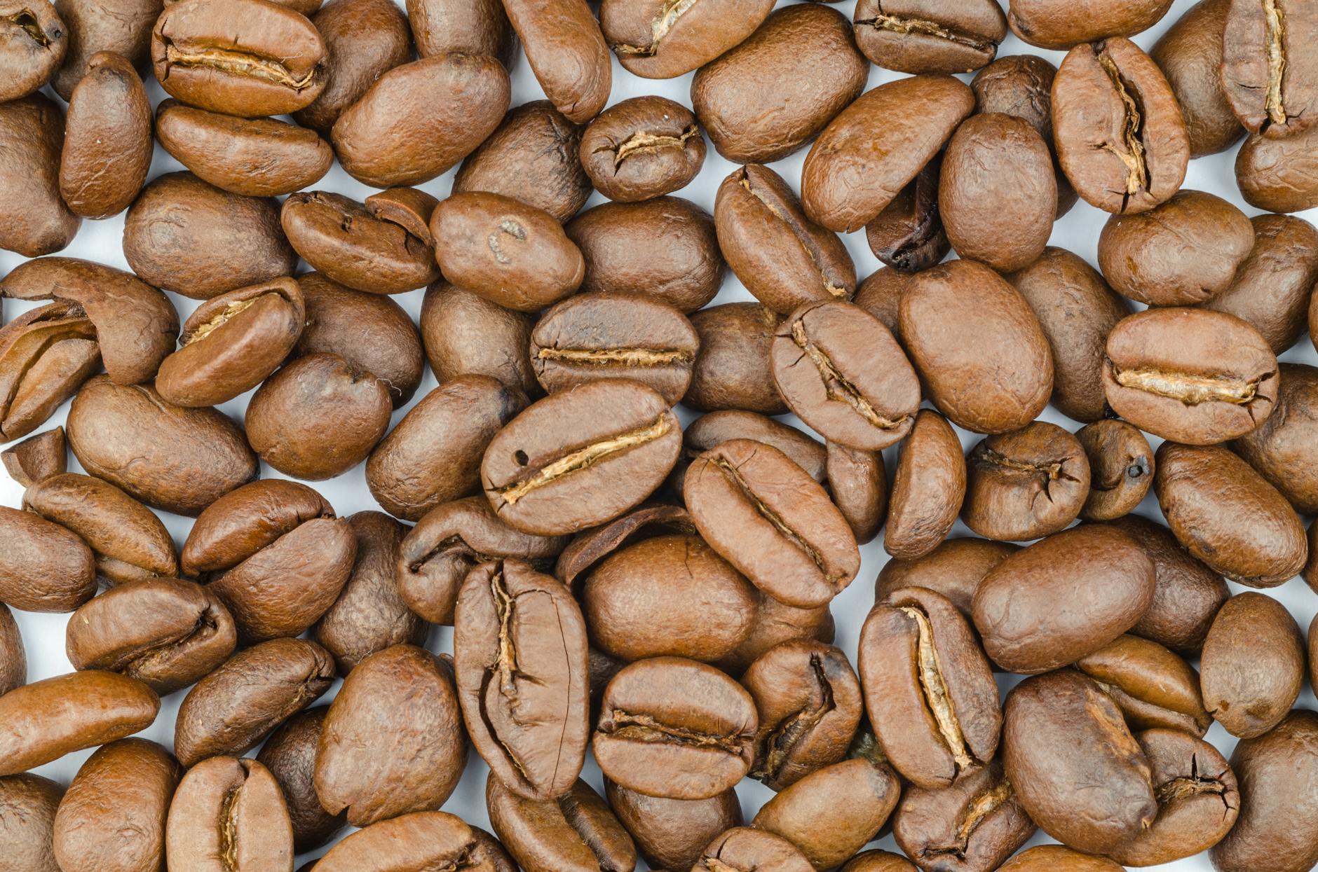 Bean