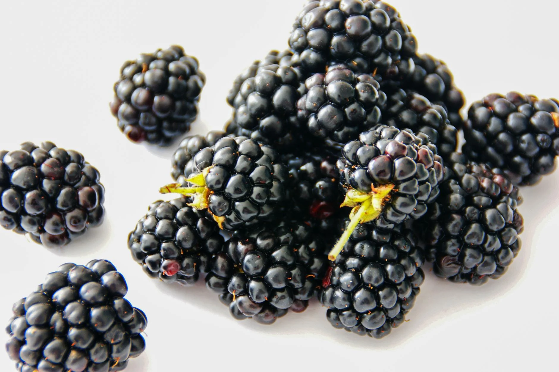 Blackberry (Ежевика) — вкусная ягода