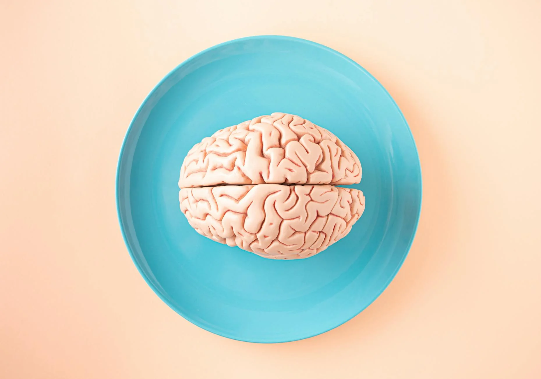 Brain (Мозг) — важный орган для мышления и чувств