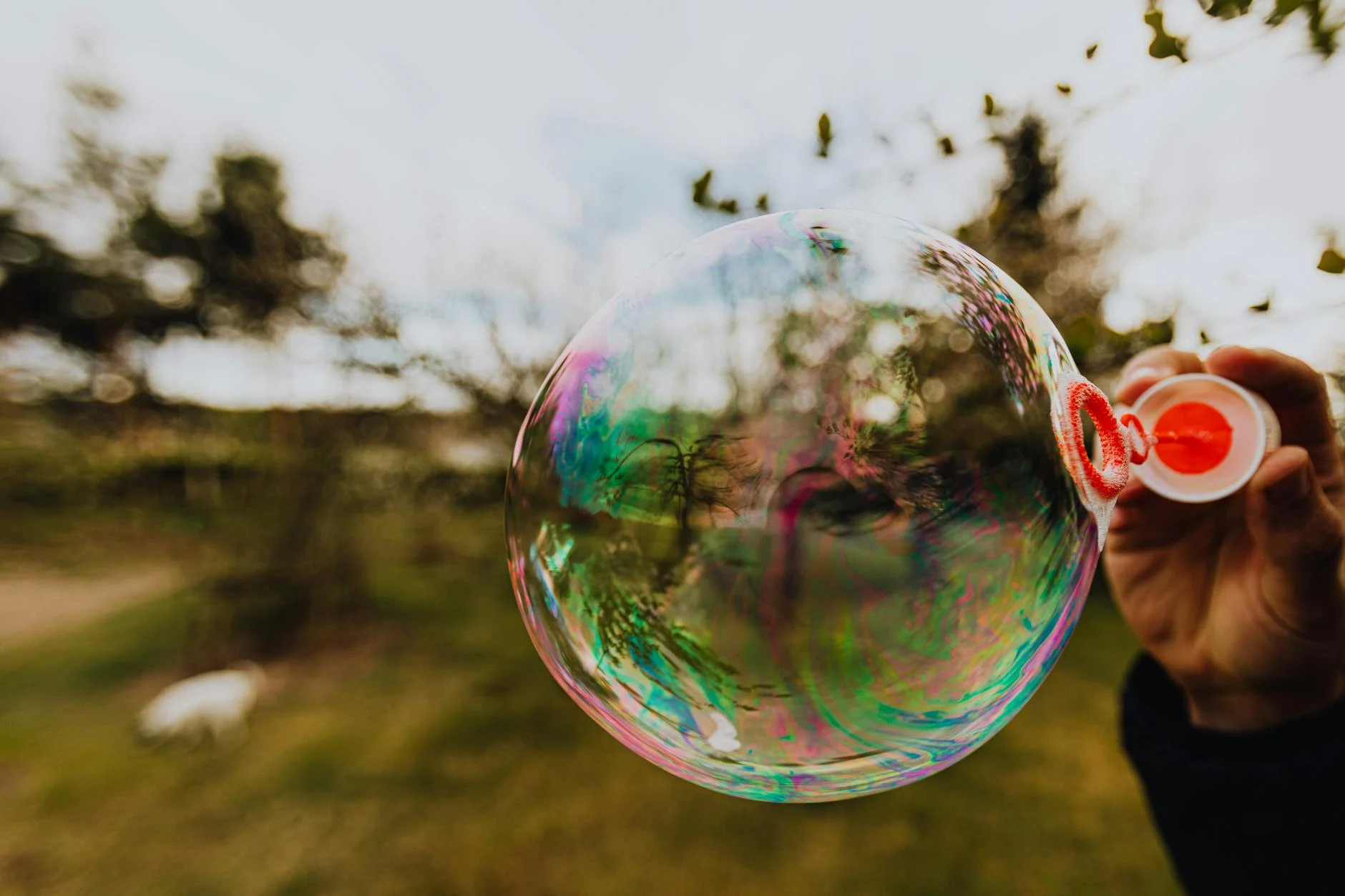 Bubble