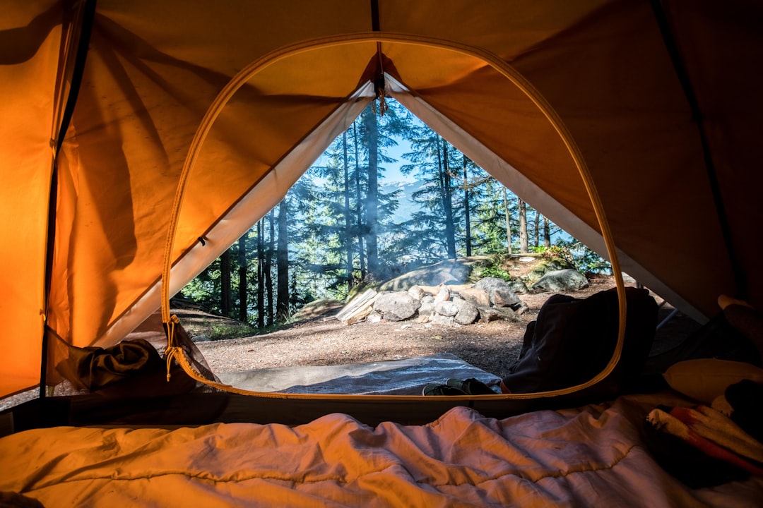 Camping (Кемпинг) — отдых на природе с палатками