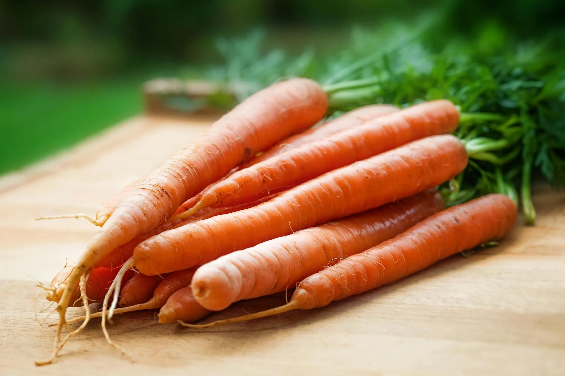 Carrot (Морковь) — полезный оранжевый овощ