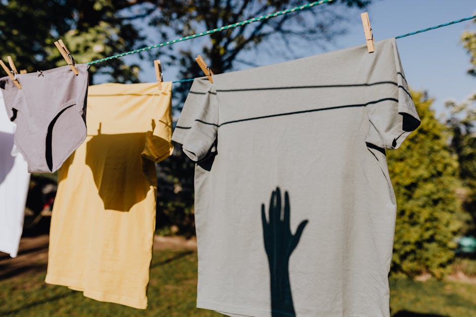 Clothes (Одежда) — разнообразные предметы гардероба