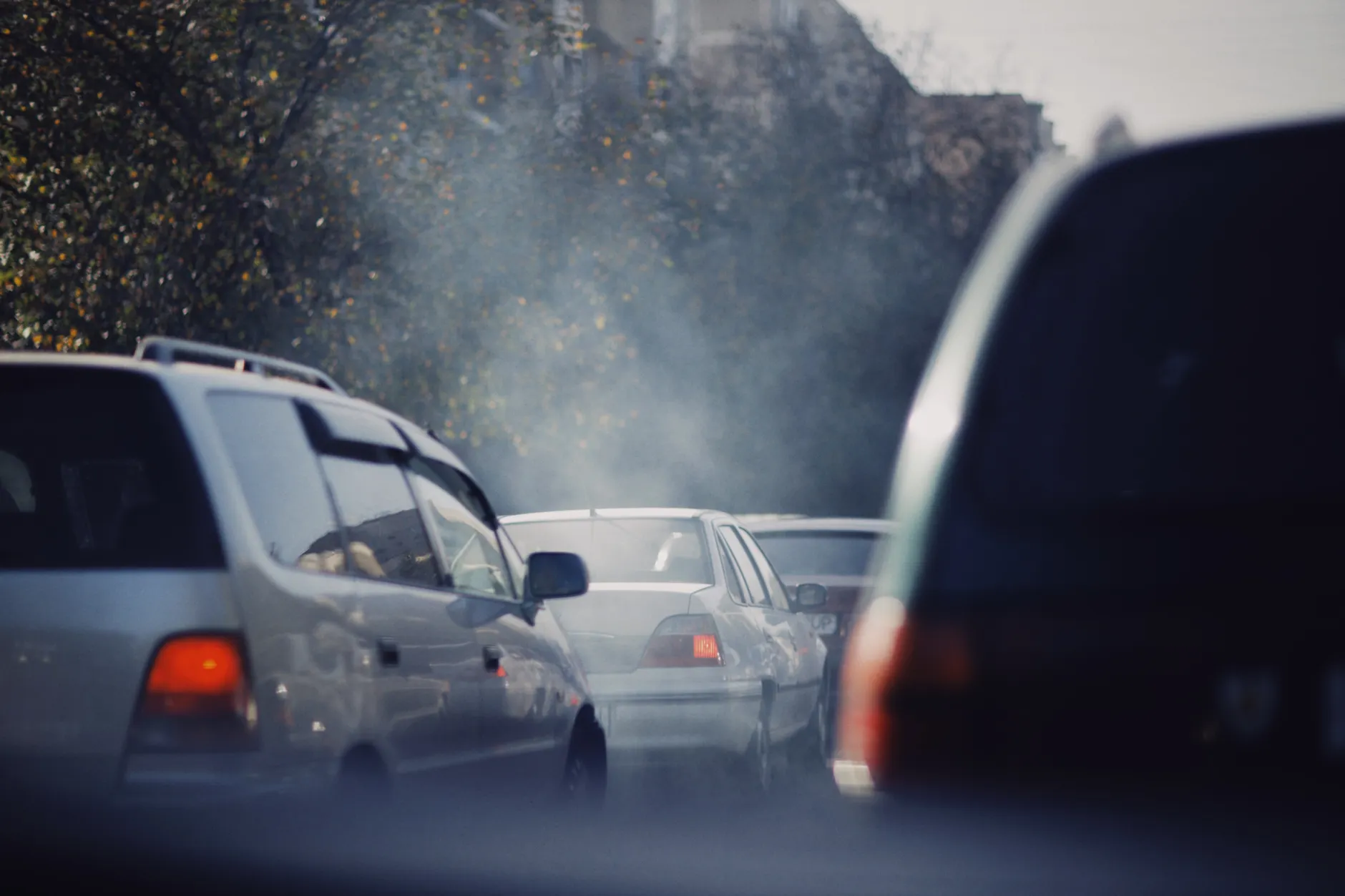 Congestion (Затор, заложенность) — дорожный затор или заложенный нос