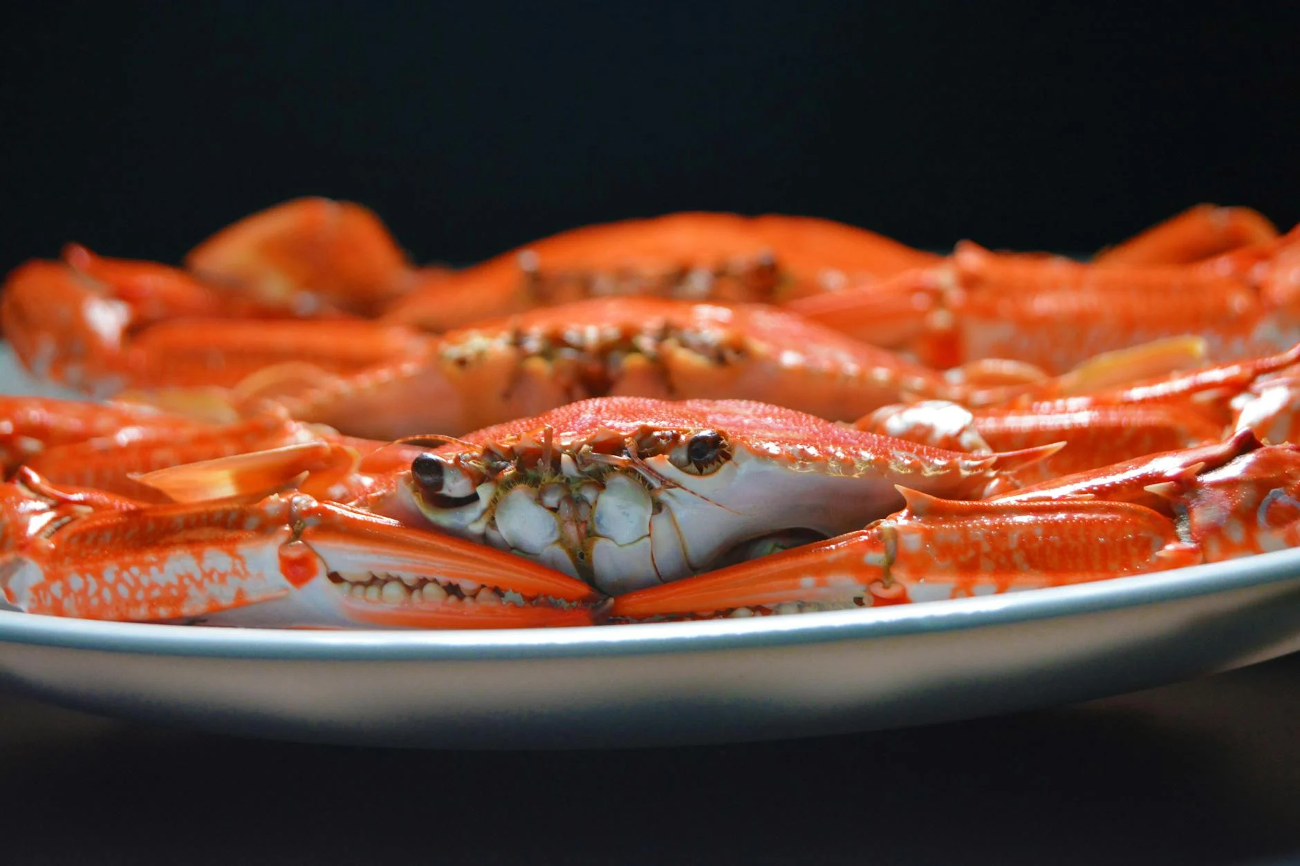Crab (Краб) — морское животное с клешнями