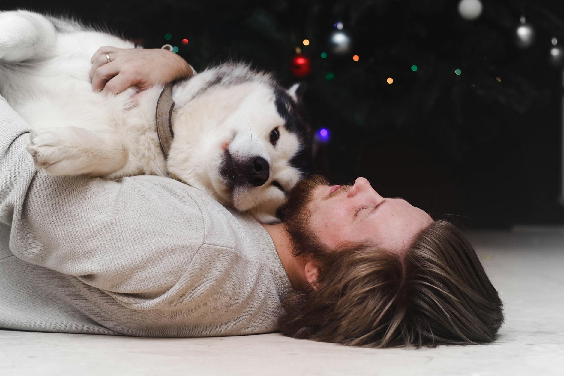 Cuddle (Обнимать) — нежное объятие или прижимание