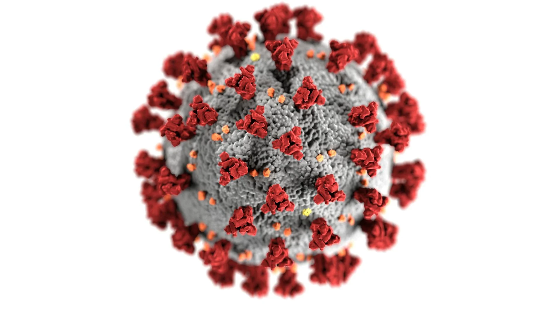 Disease (Болезнь) — состояние, влияющее на здоровье