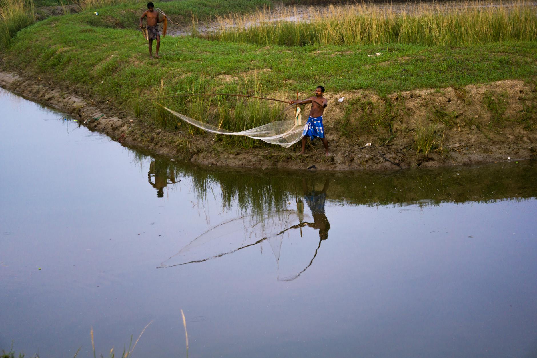 Ditch