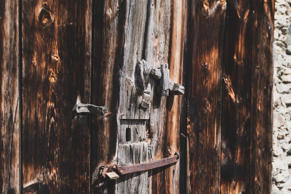 Door (Дверь) — вход в дом или комнату