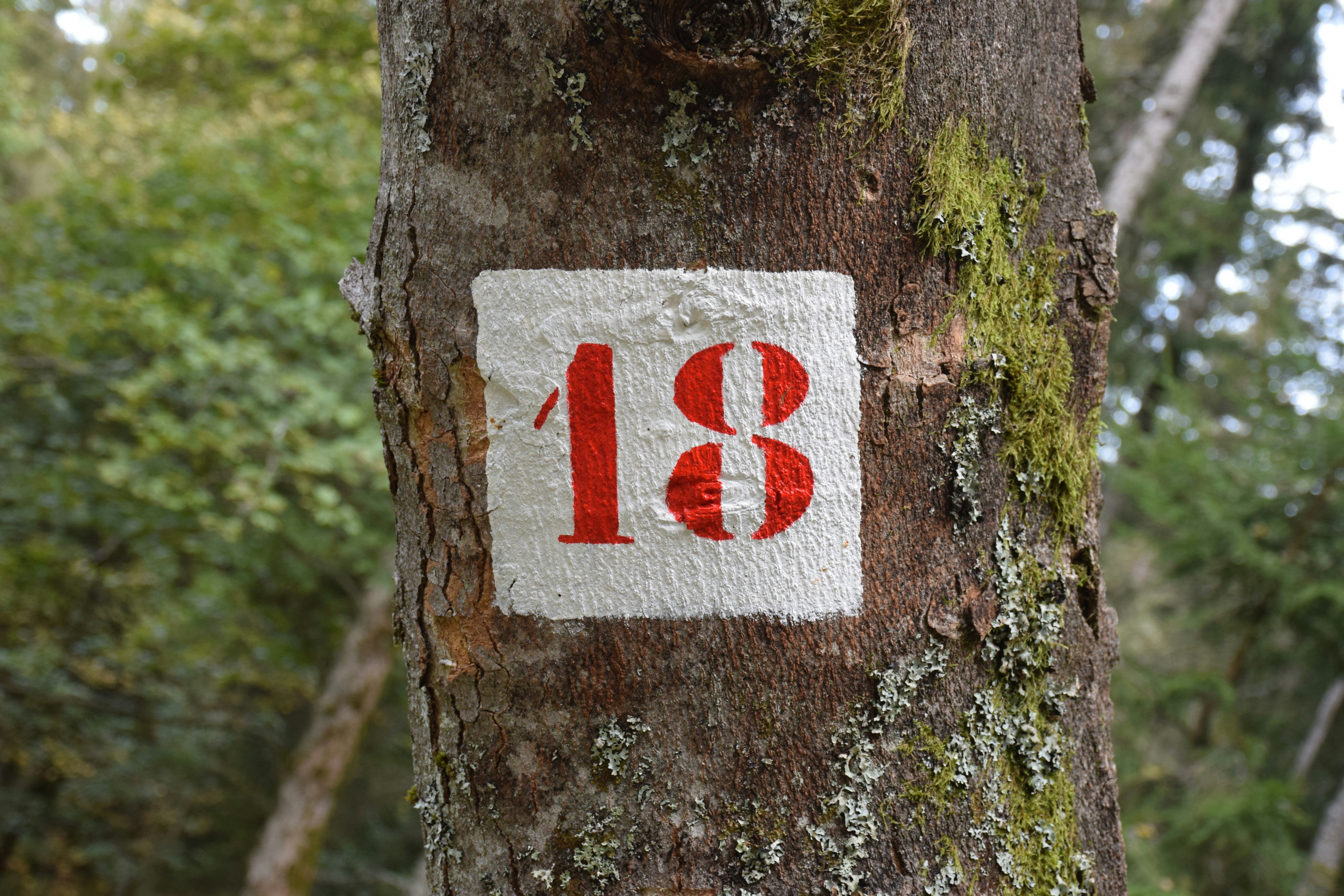 Eighteen