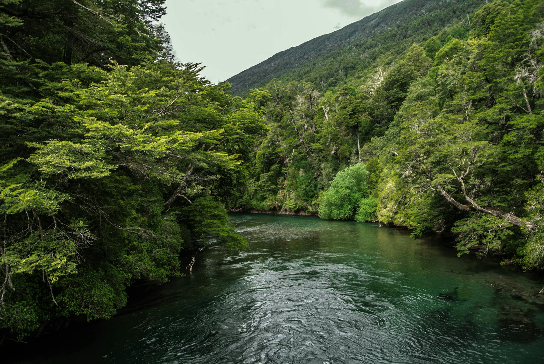 Environment