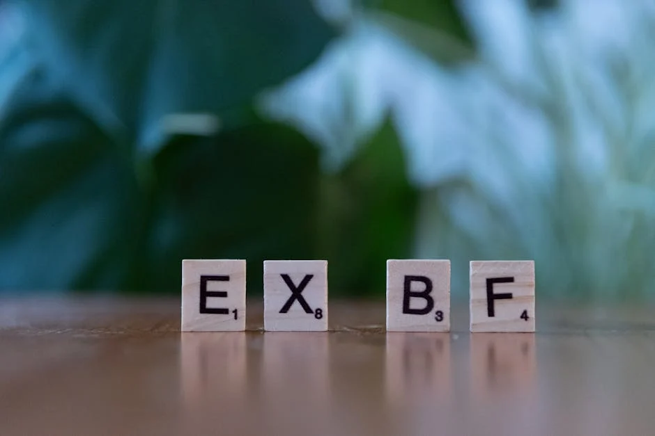 Ex (Бывший/Бывшая) — бывший партнер или бывший сотрудник