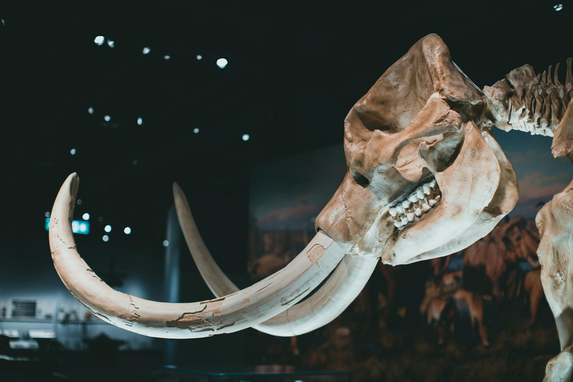 Extinct