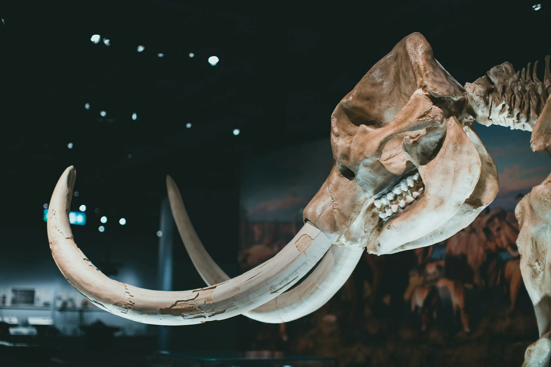 Extinction