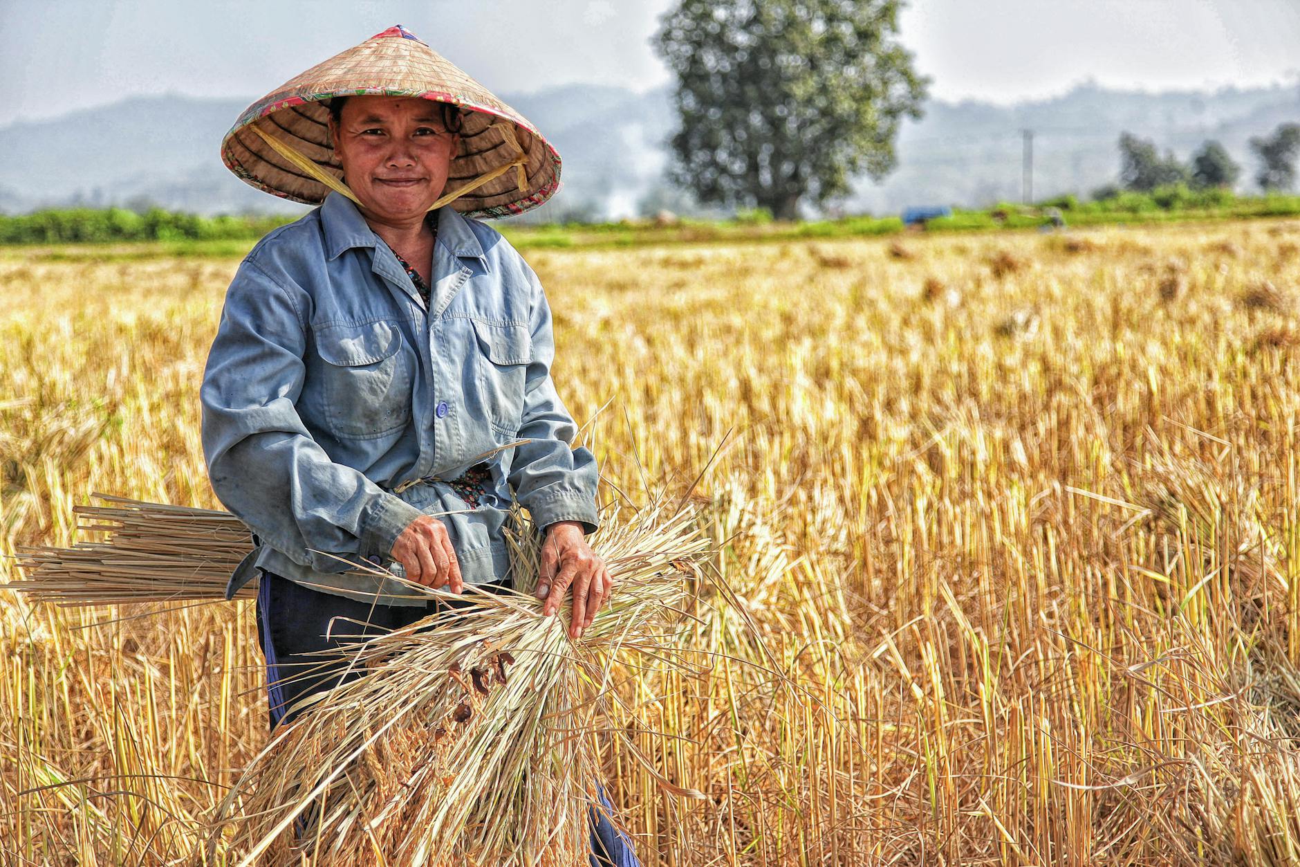 Farmer