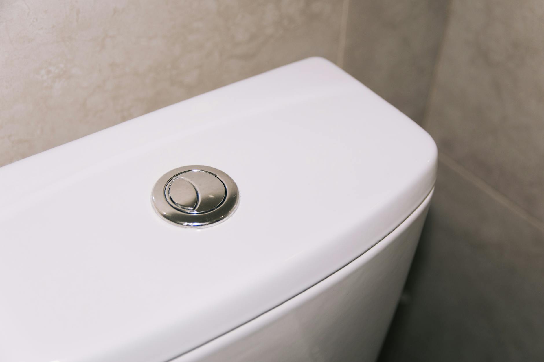 Flush — смывать воду, румянец на лице