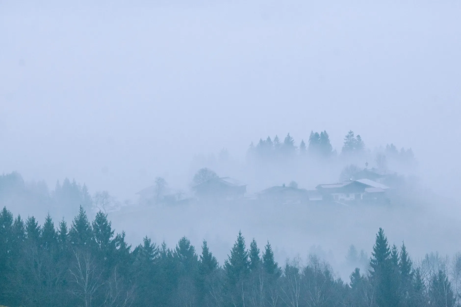 Fog (Туман) — густое облако у земли