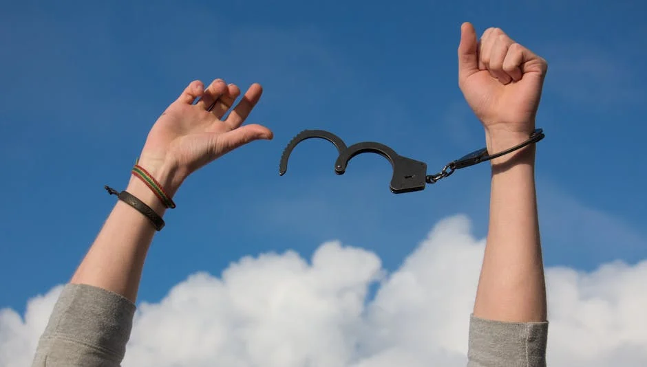 Freedom (Свобода) — возможность выбора и независимость
