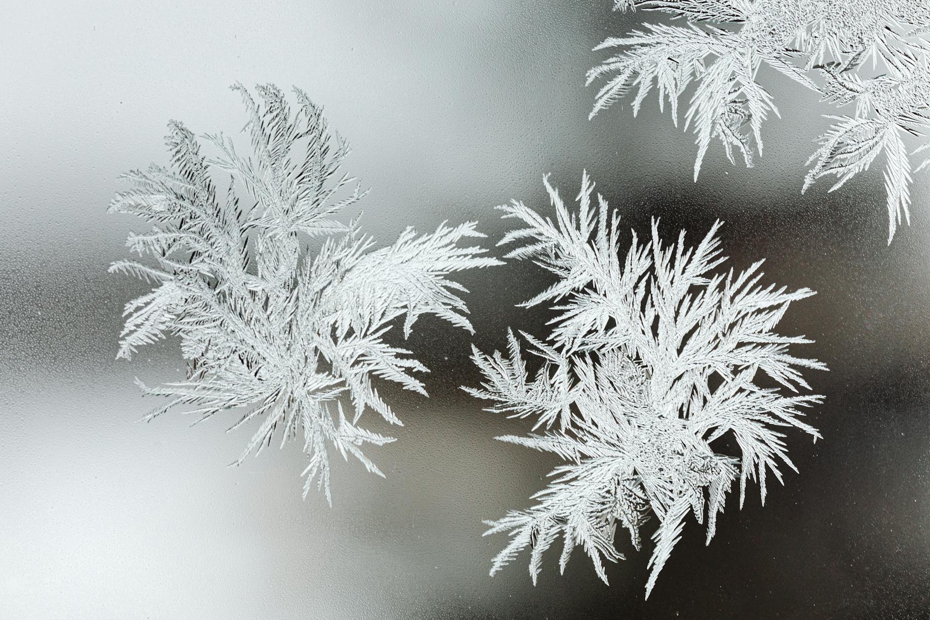 Frost
