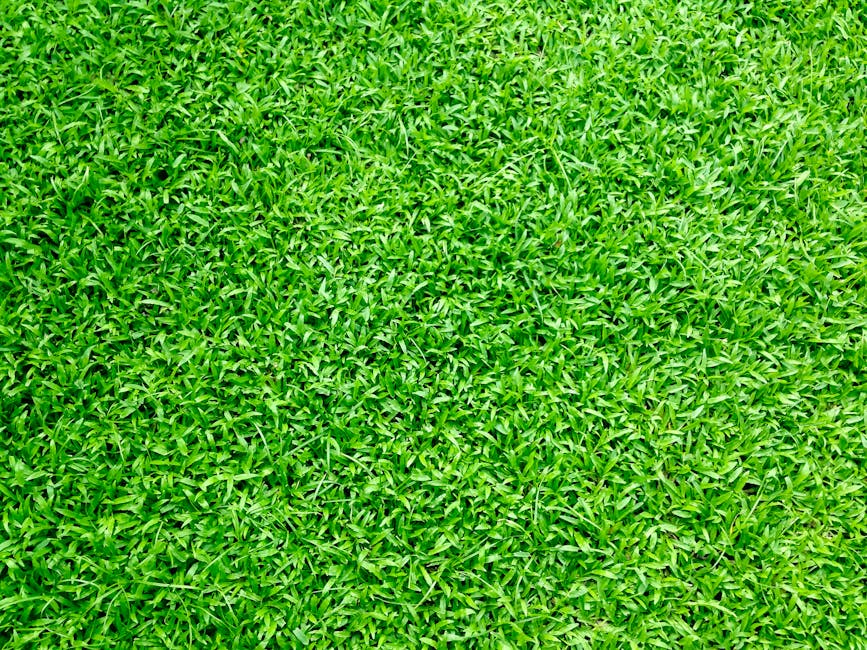 Grass (Трава) — зелёное растение, покрывающее землю