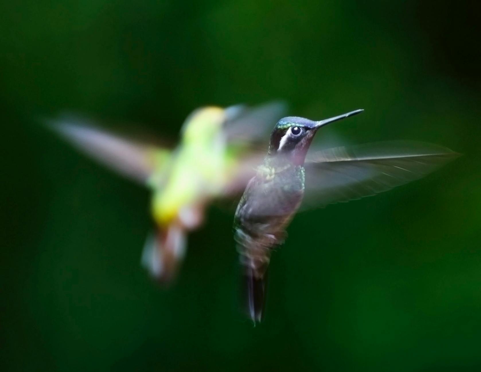 Hover