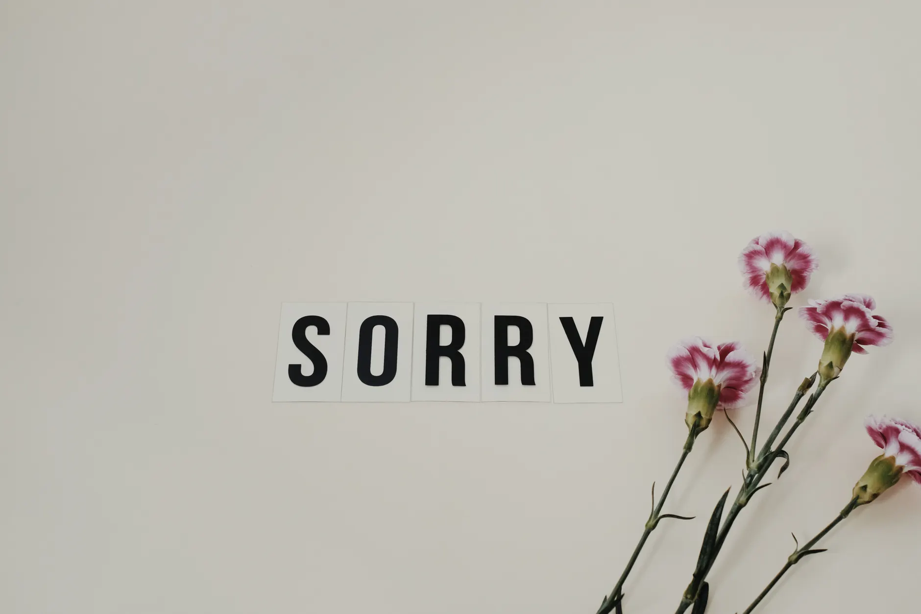 I'm sorry — английская фраза с переводом и произношением