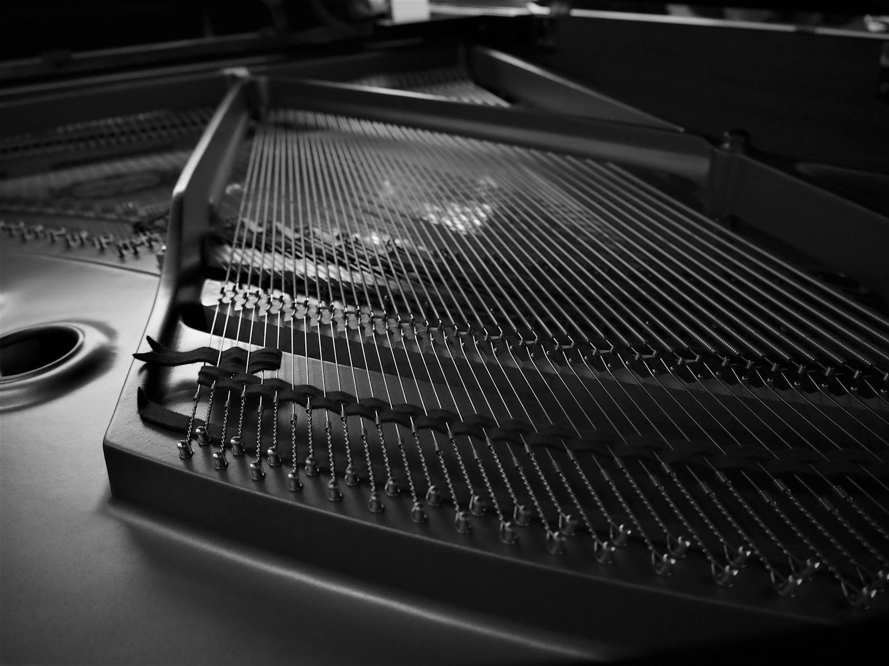 Instrument