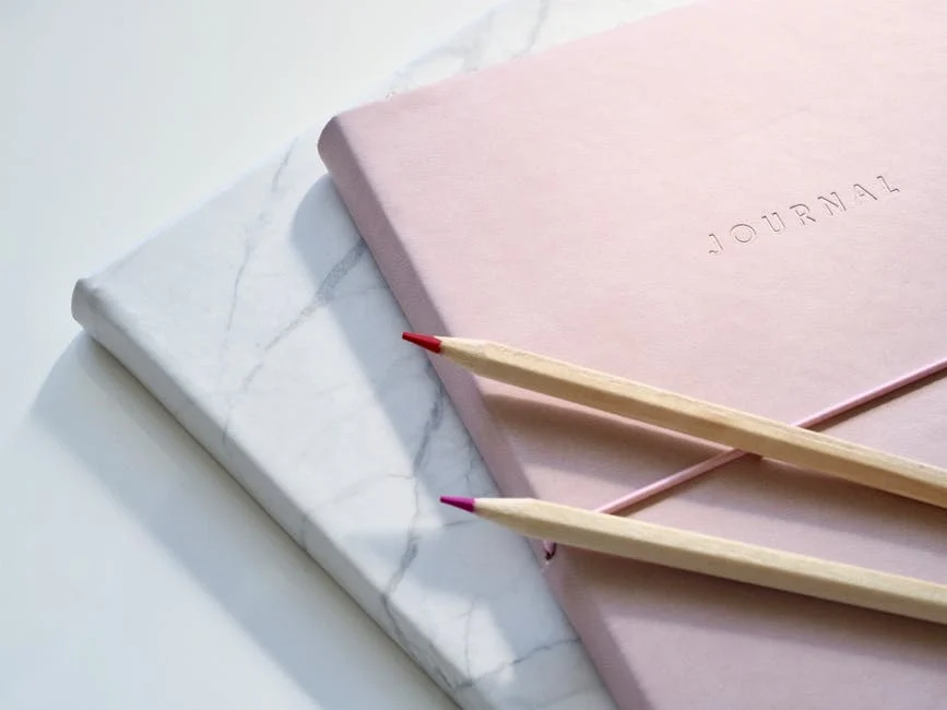 Journal (Дневник, журнал) — книга для записей или периодическое издание