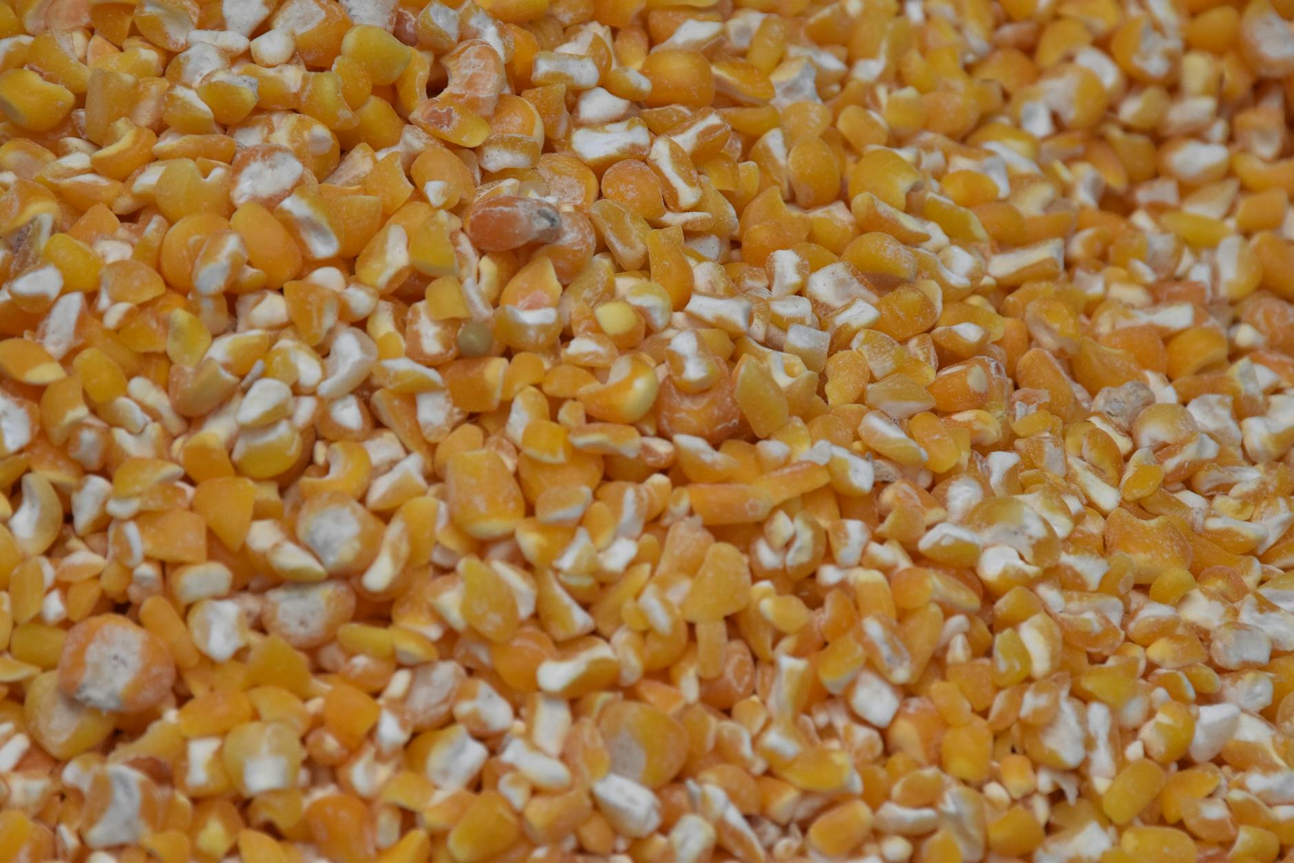 Kernel