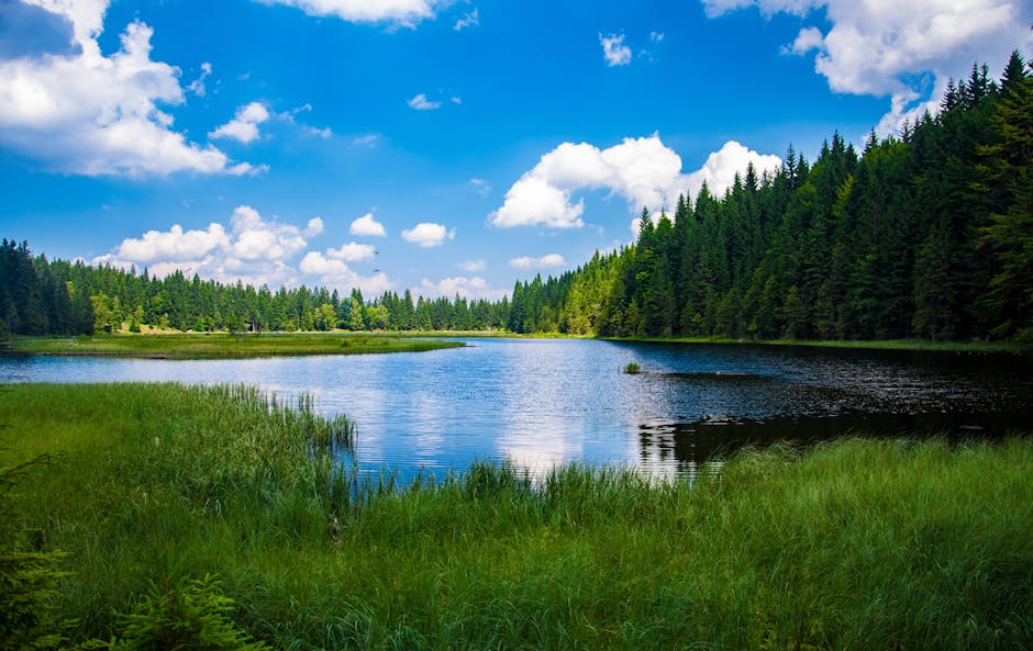 Lake
