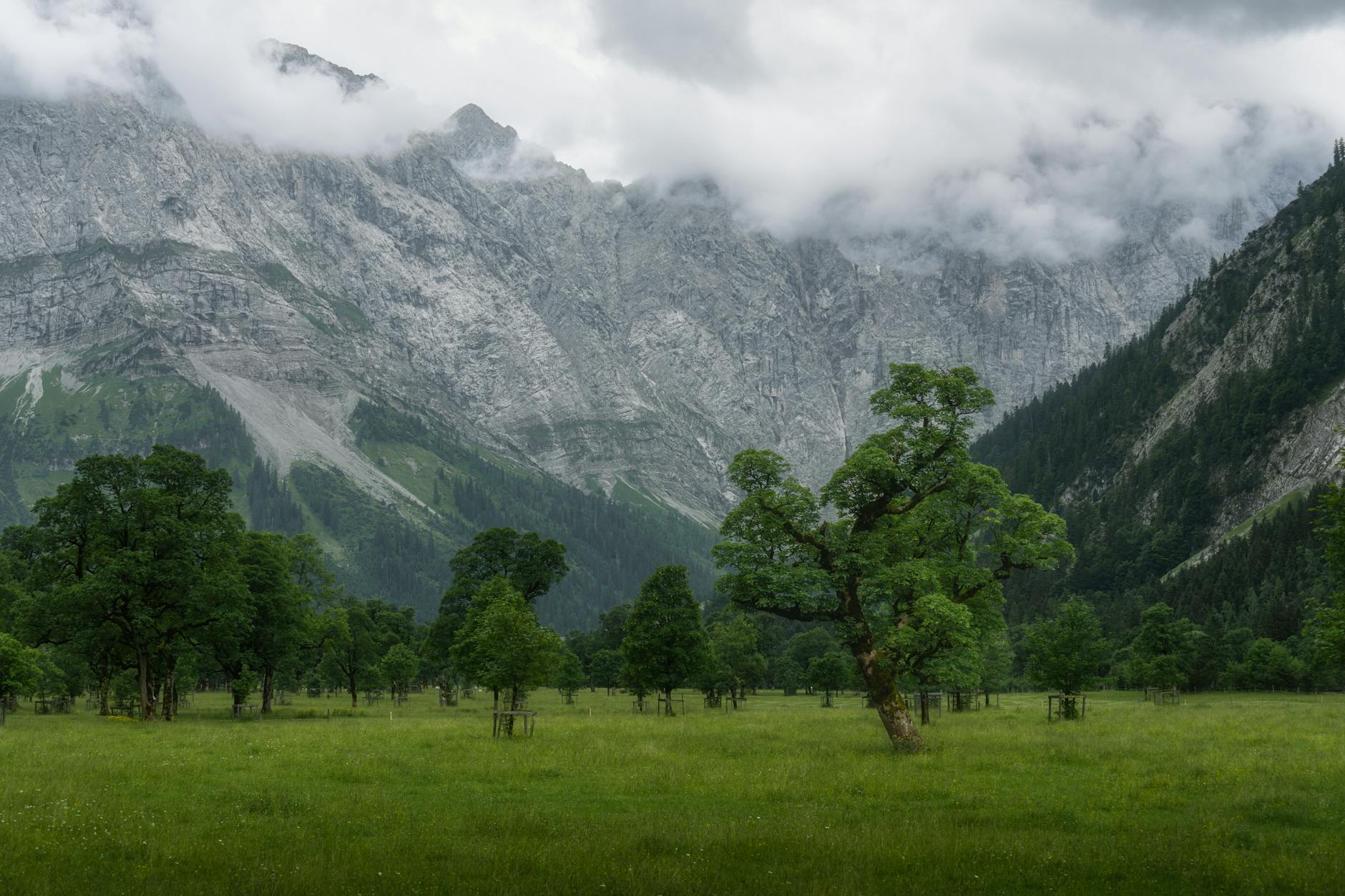 Landscape