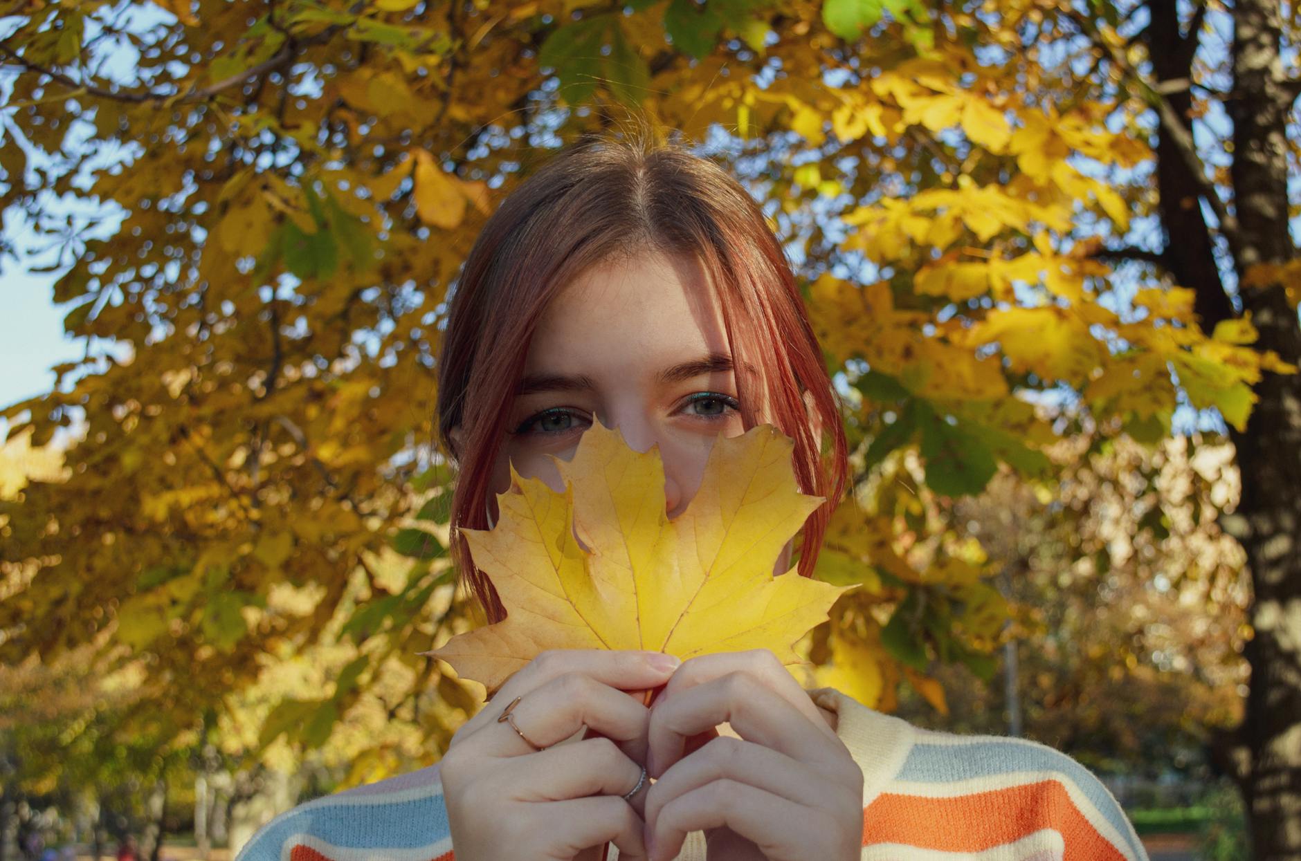 Leaves (Листья, покидает) — части растений или действие ухода