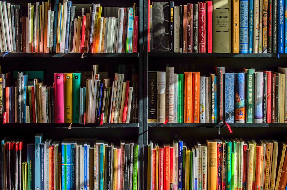 Library (Библиотека) — место для чтения и книг