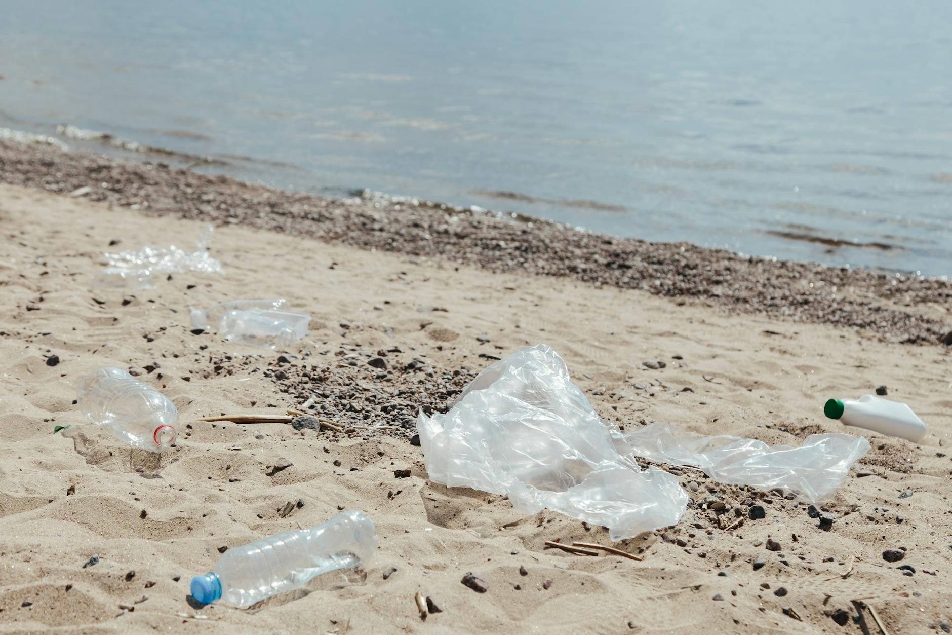 Litter