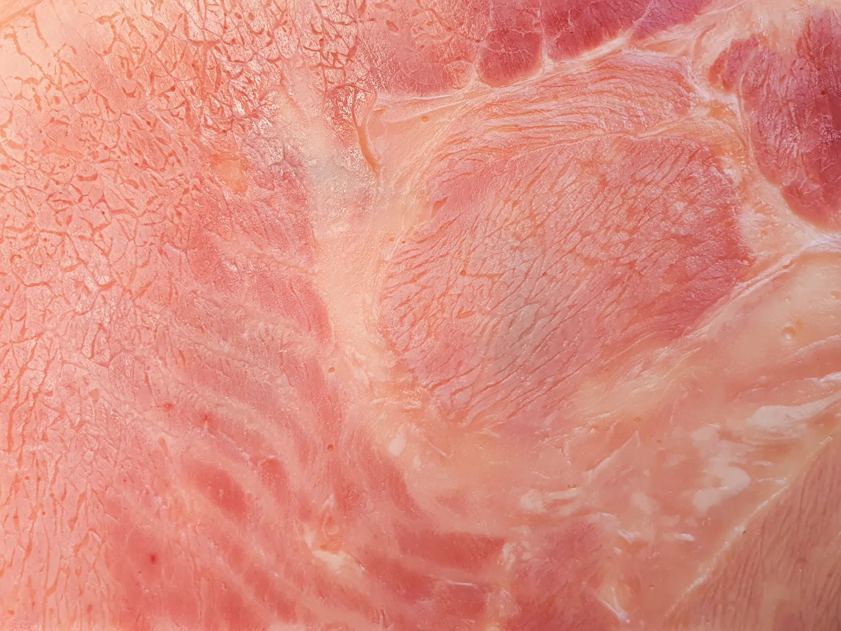 Liver (Печень) — важный орган в теле человека
