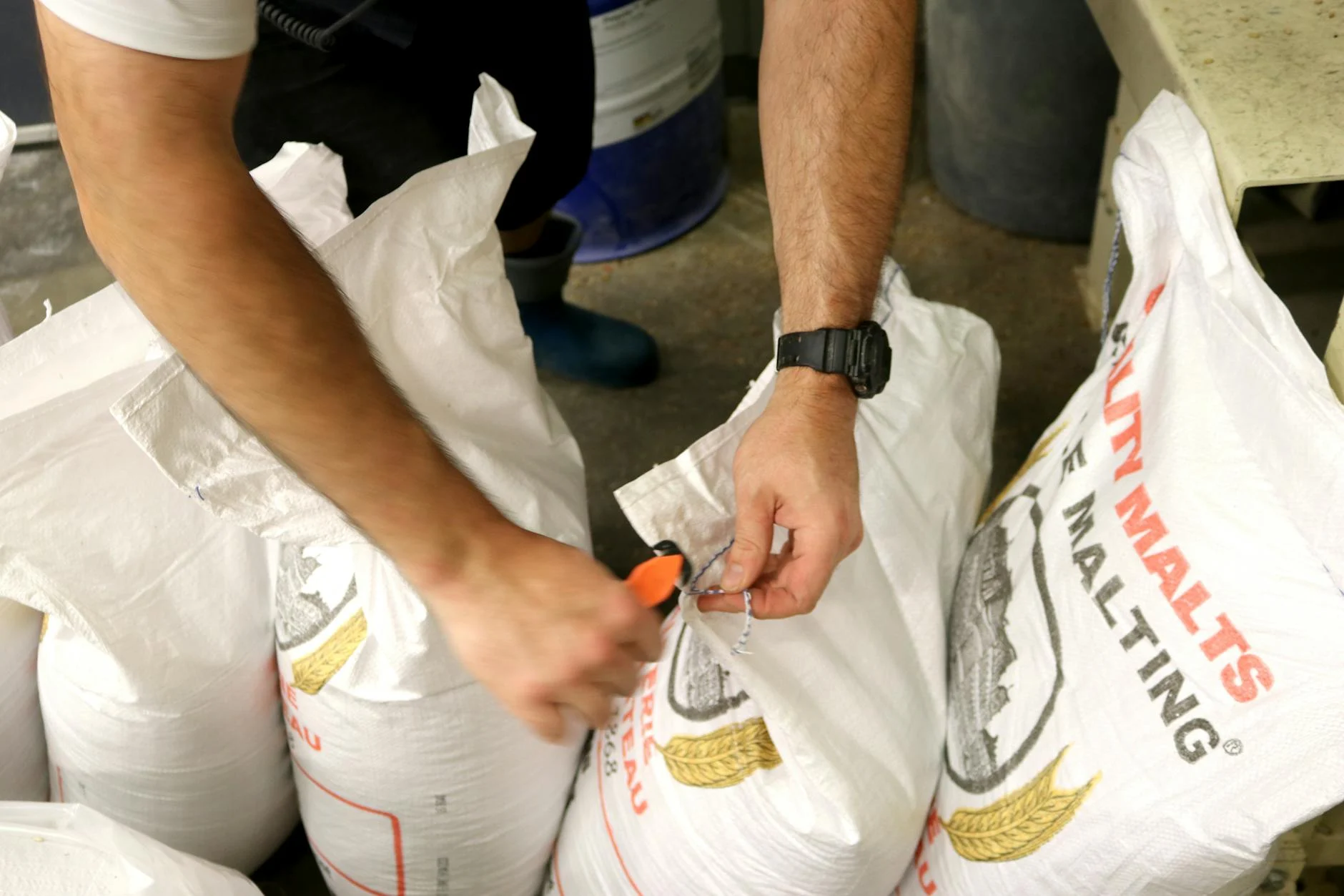 Malt