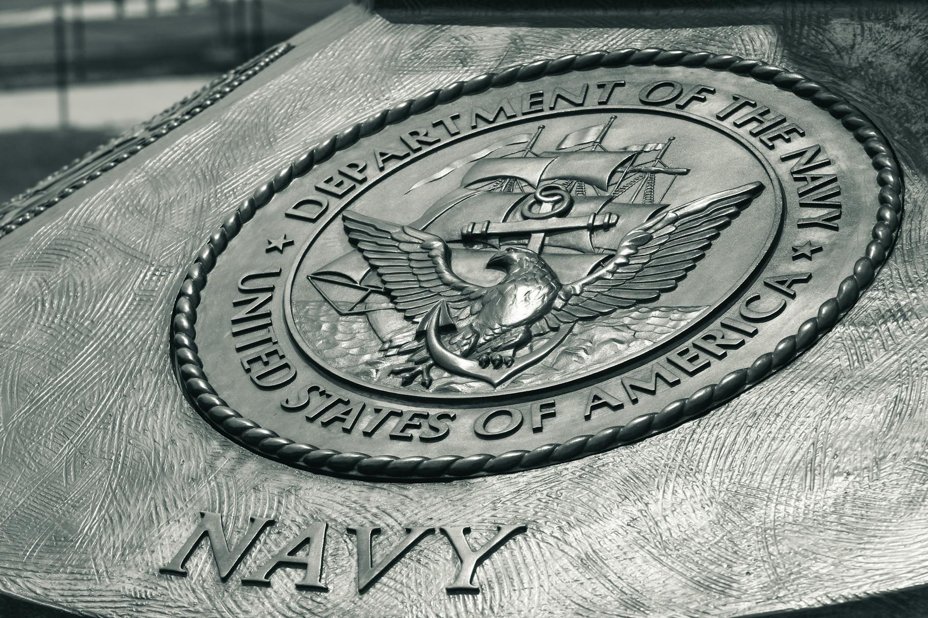 Navy