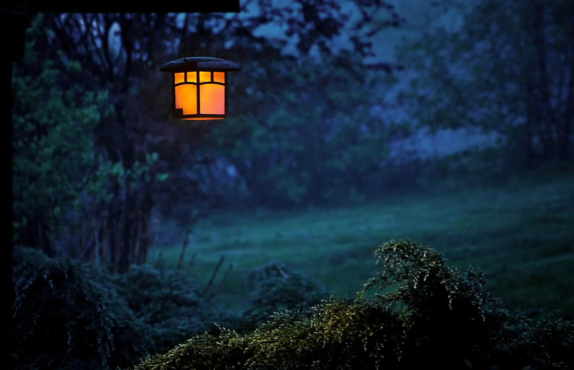 Night
