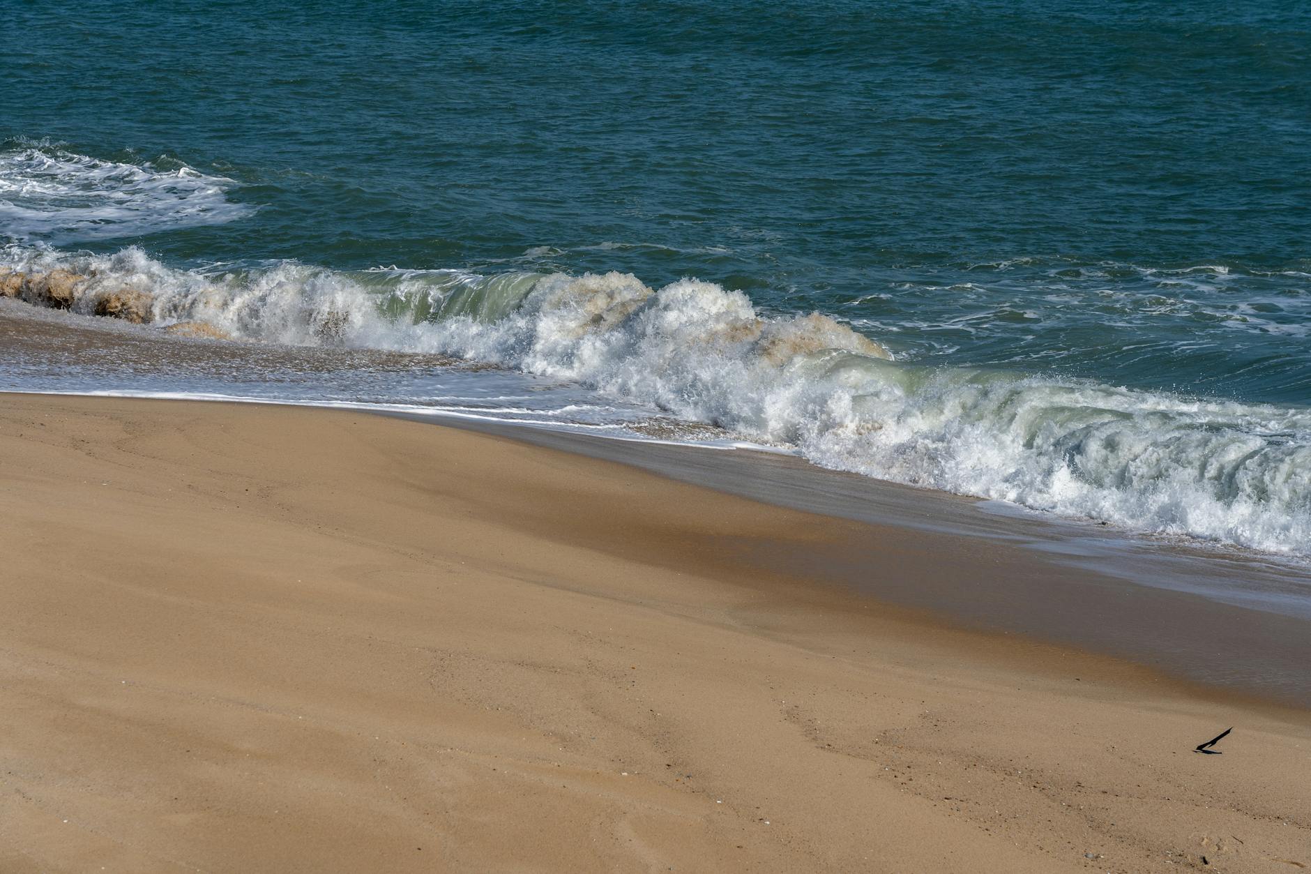 Ocean
