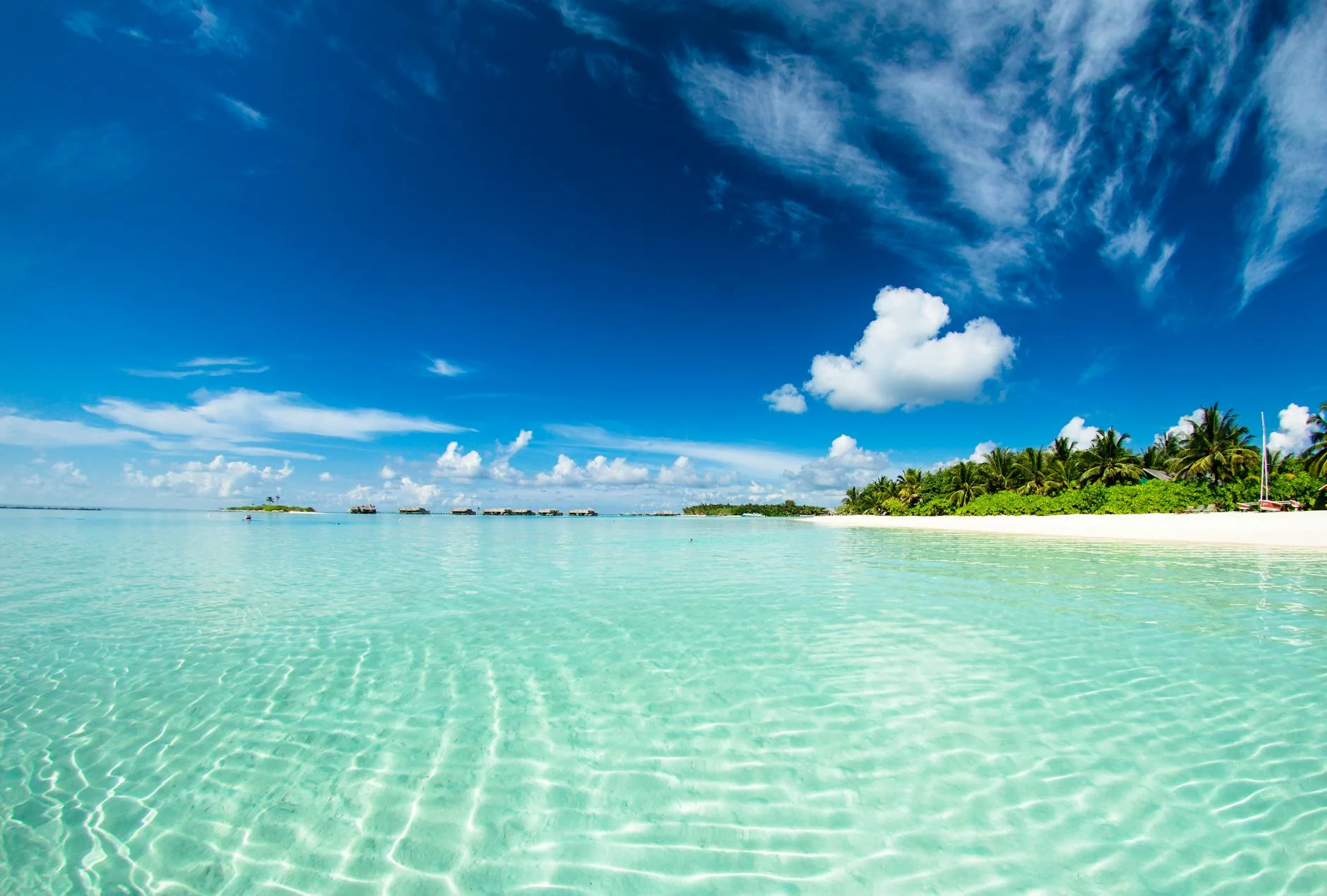 Paradise