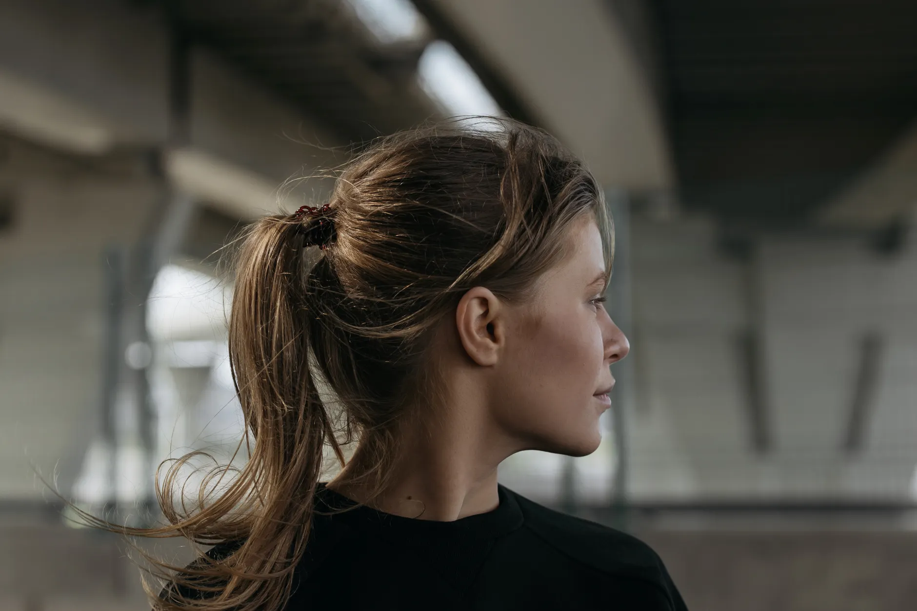Ponytail