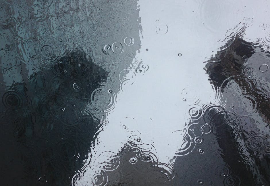 Rain (Дождь) — вода, падающая с неба