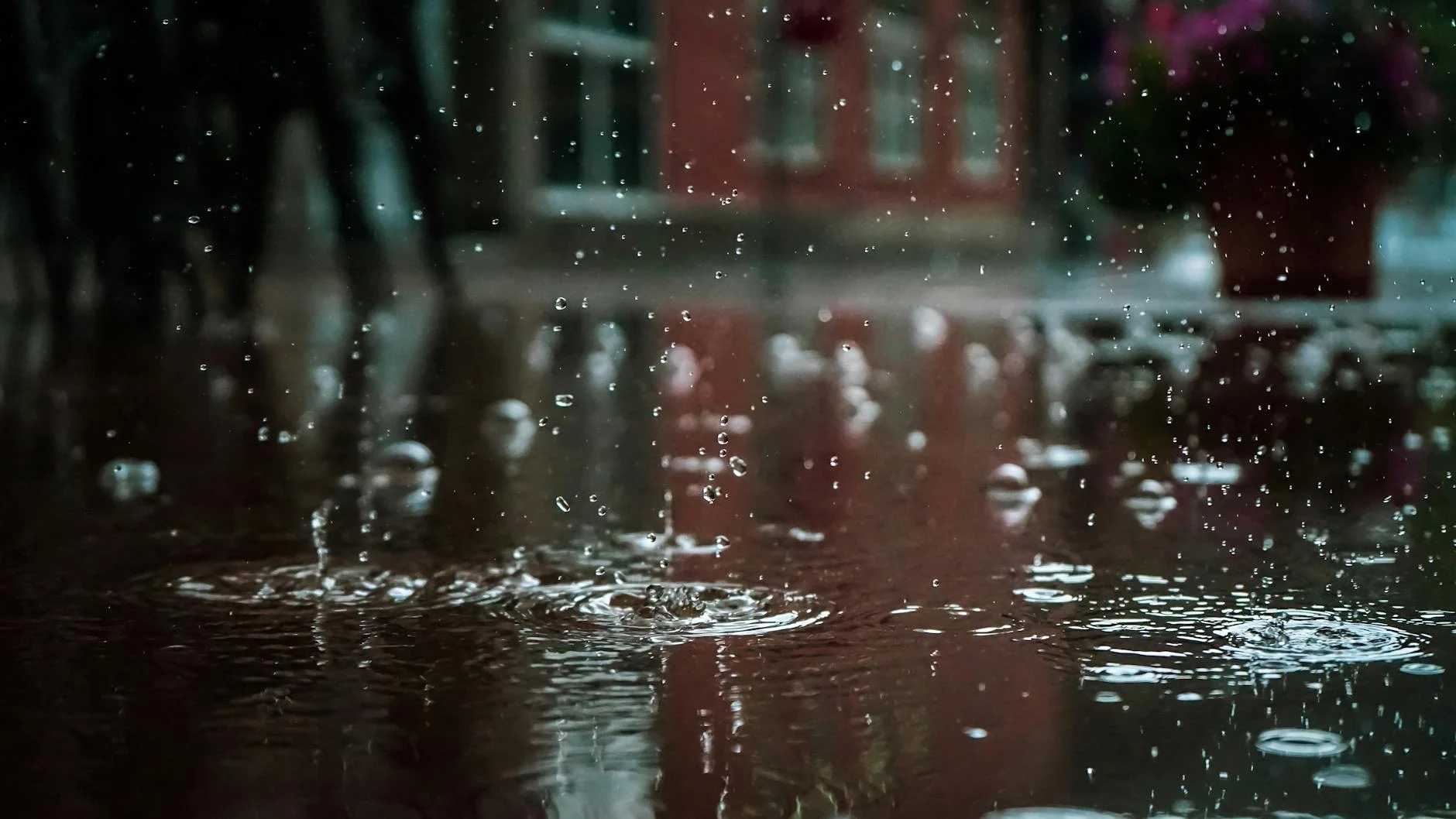 Rainy
