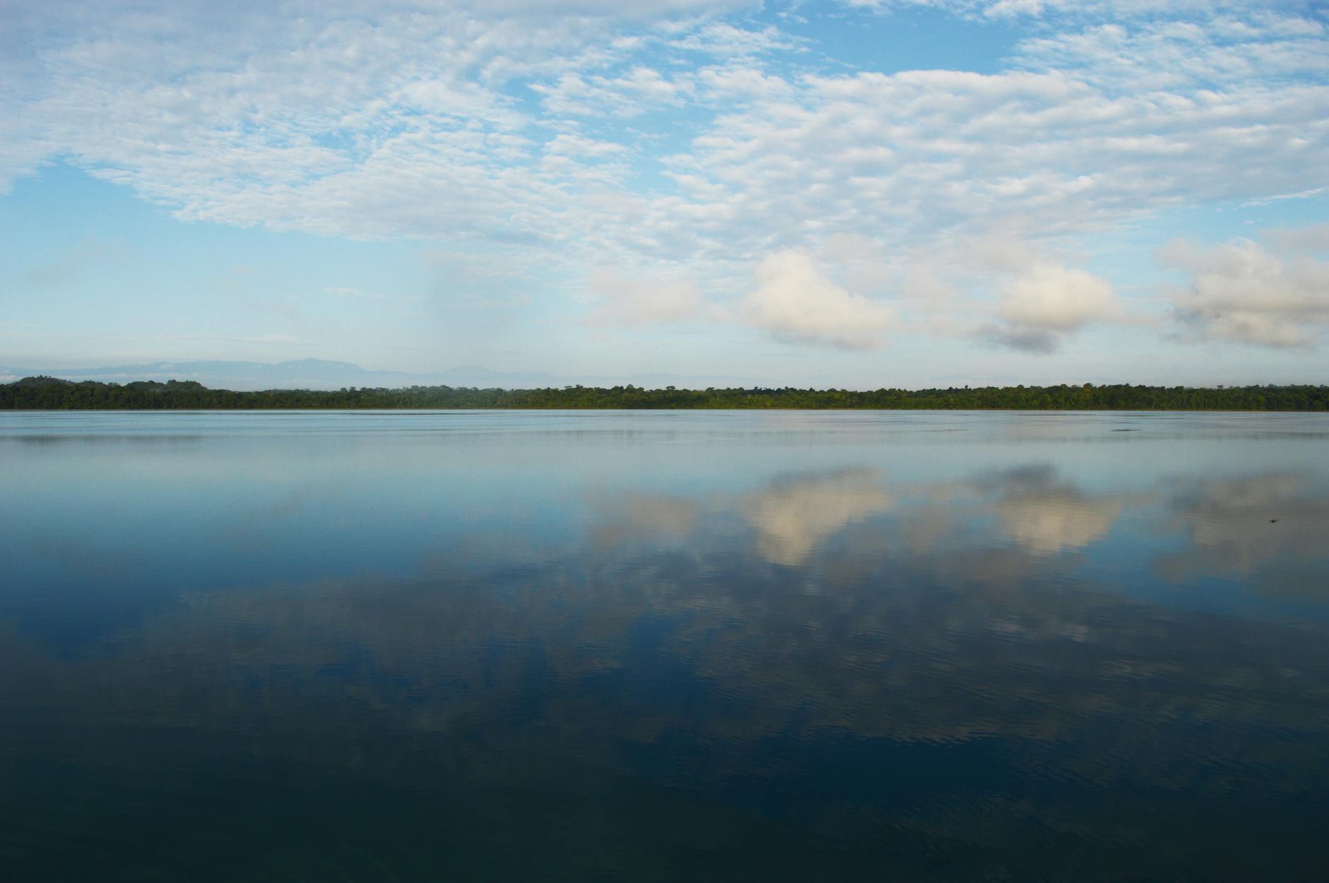 Reflection