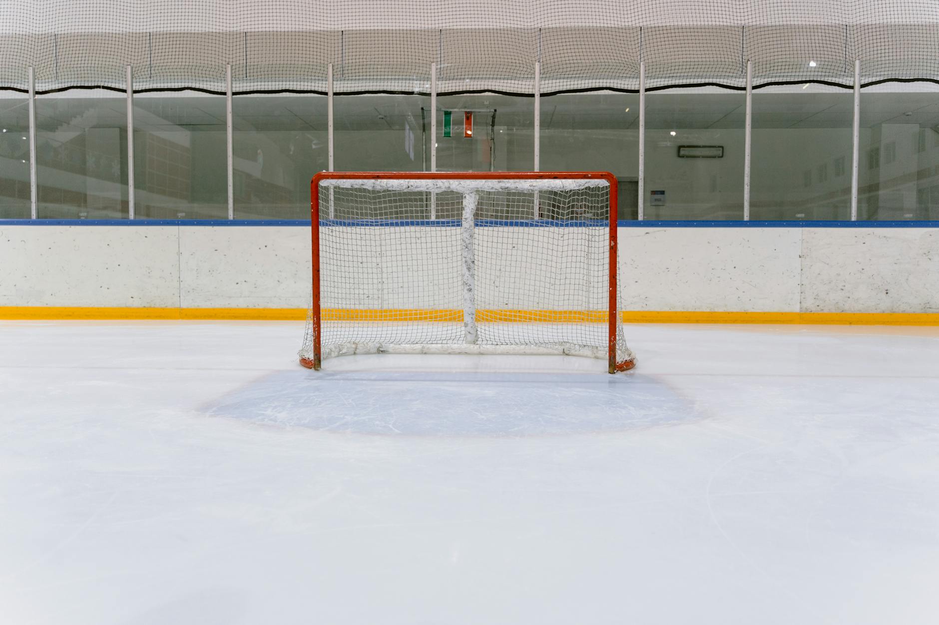 Rink (Каток) — место для катания на коньках или роликах