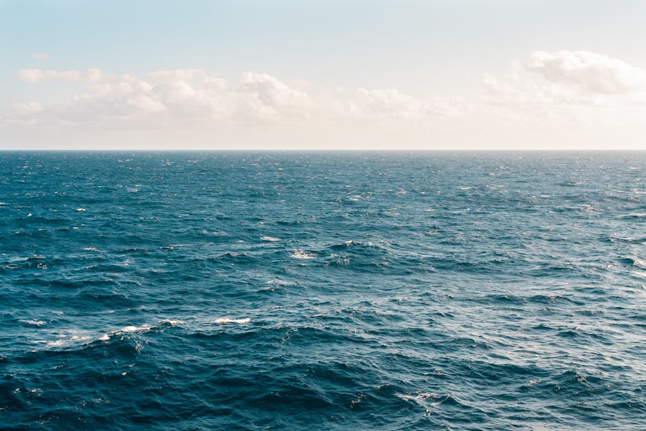 Sea (Море) — большой водоём солёной воды