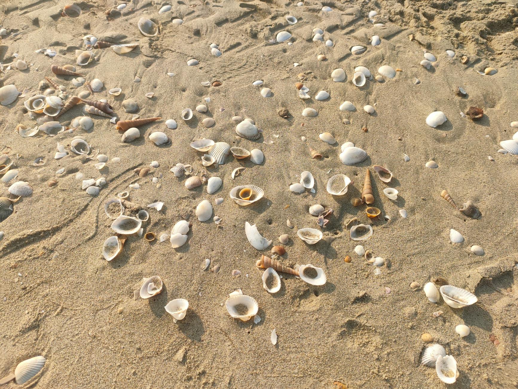 Seaside (Побережье) — место у моря или океана