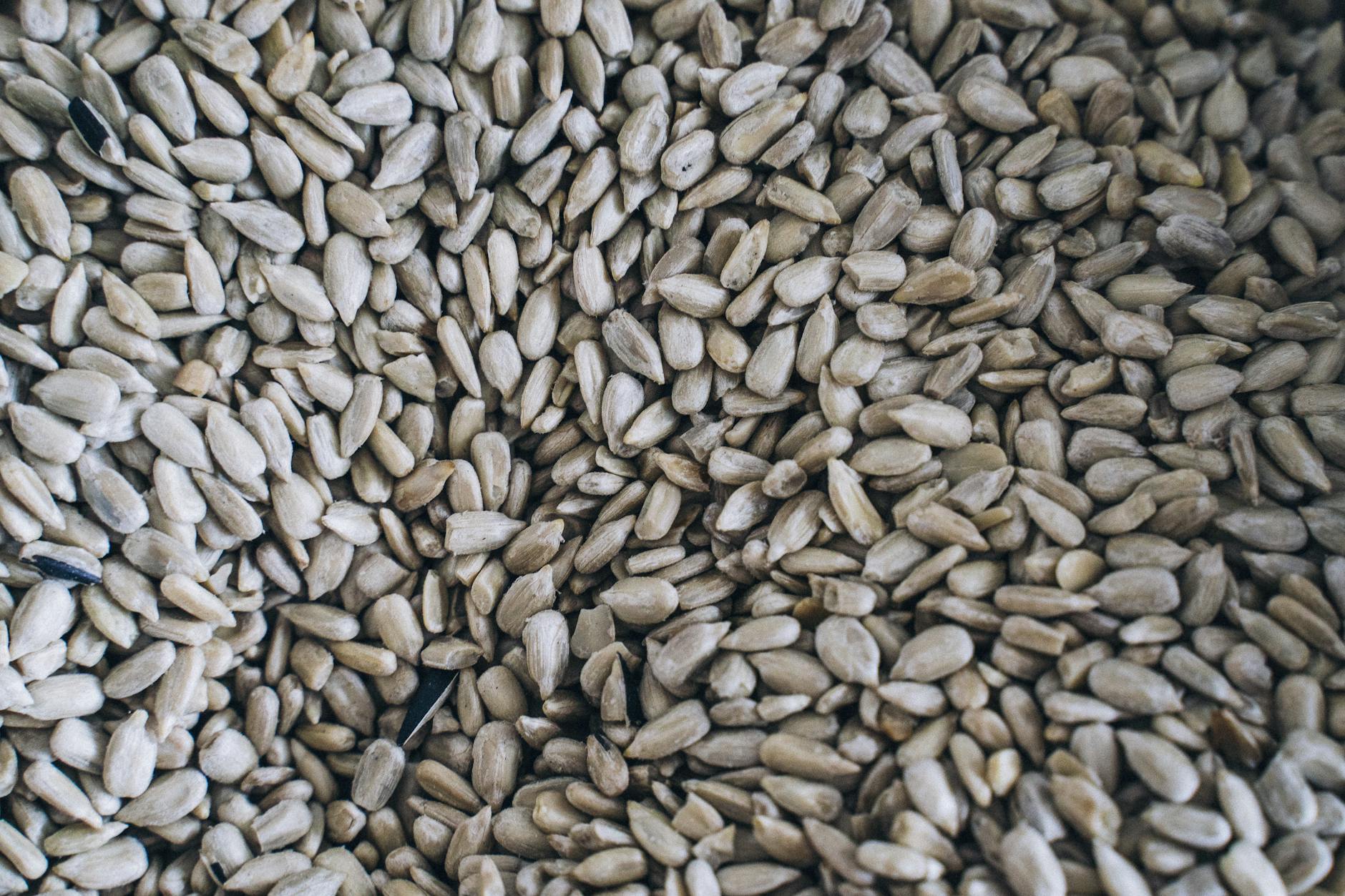 Seed (Семя) — маленькая часть растения, из которой растет новое