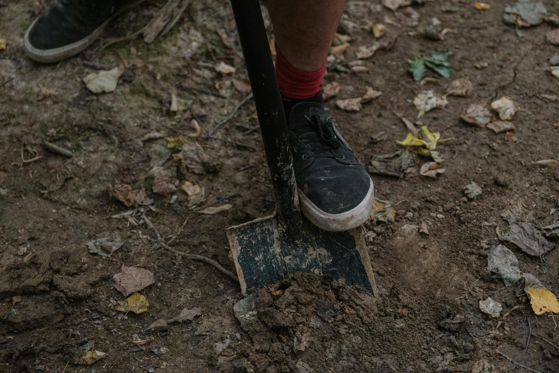 Shovel (Лопата) — инструмент для копания